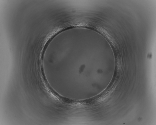 X0000097660721200802291426