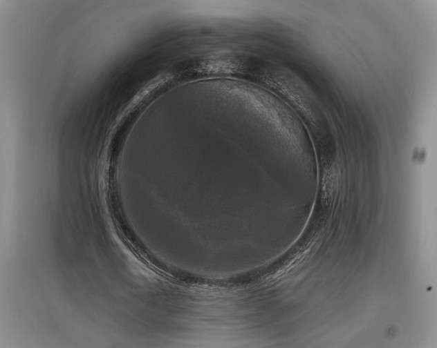 X0000097660722200802291426