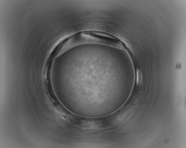 X0000097660723200802291426