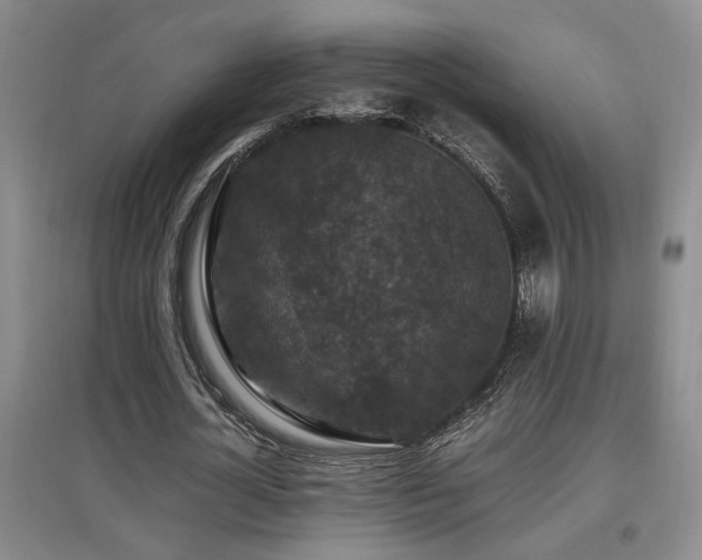 X0000097660724200802291426