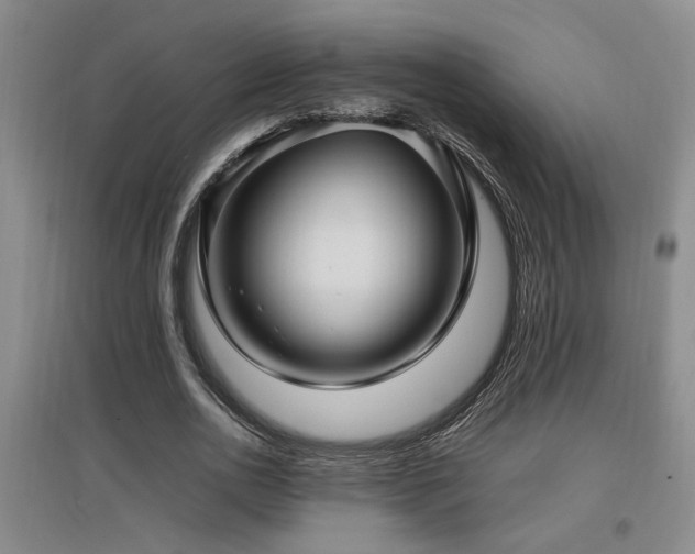 X0000097660726200802291426