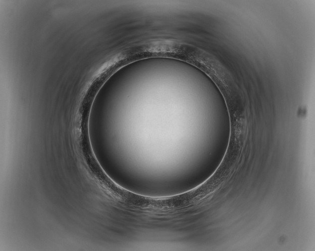 X0000097660727200802291426