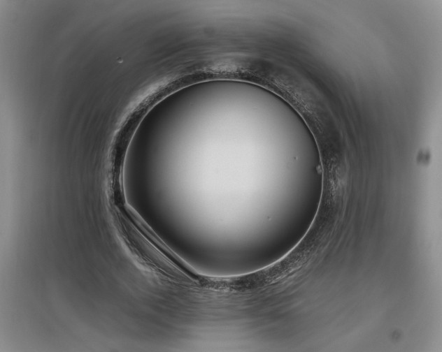 X0000097660728200802291426