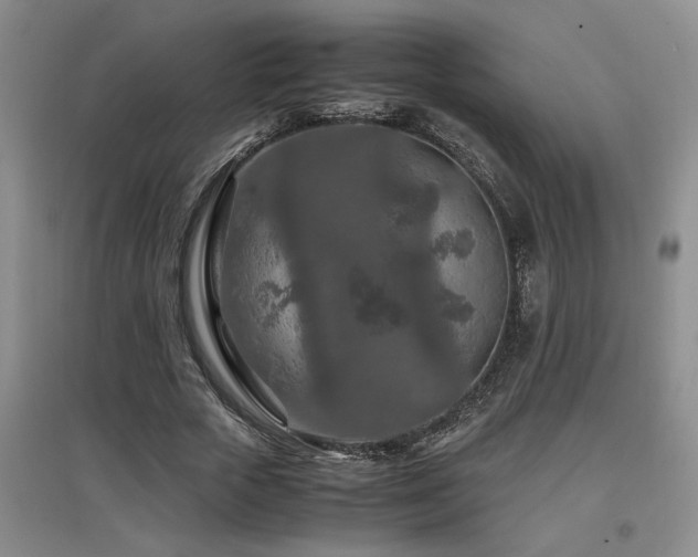 X0000097660729200802291426
