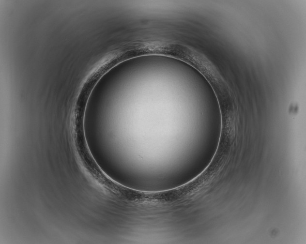 X0000097660730200802291426