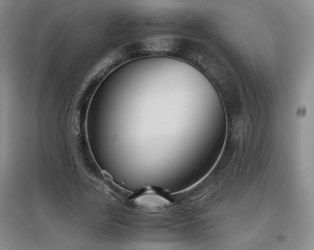 X0000097660731200802291426