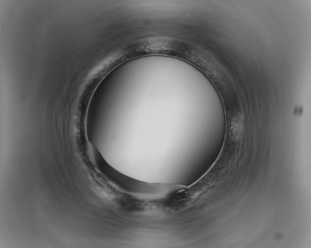 X0000097660732200802291426