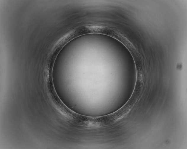 X0000097660733200802291426