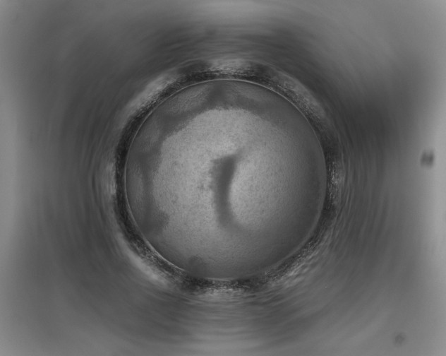 X0000097660734200802291426