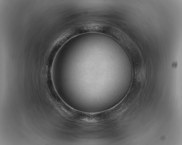 X0000097660735200802291426