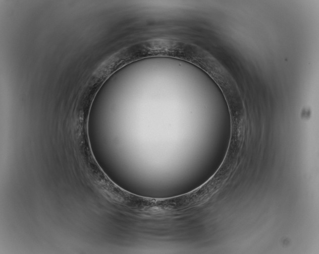 X0000097660737200802291426