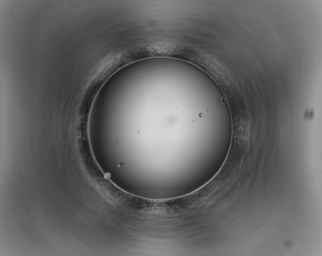 X0000097660738200802291426