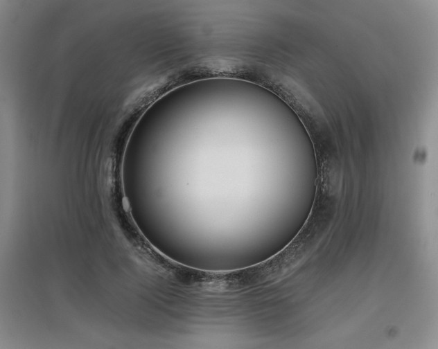 X0000097660740200802291426