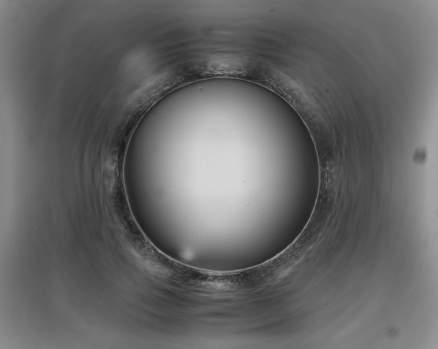 X0000097660741200802291426