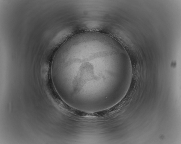X0000097660742200802291426