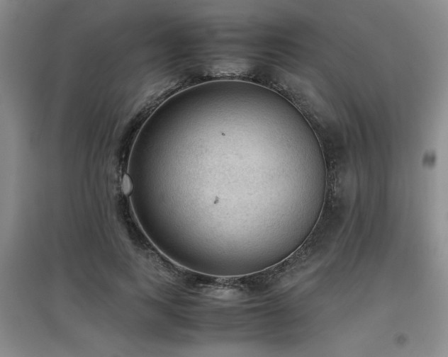 X0000097660743200802291426