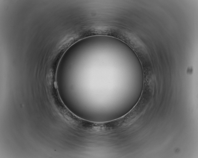 X0000097660744200802291426