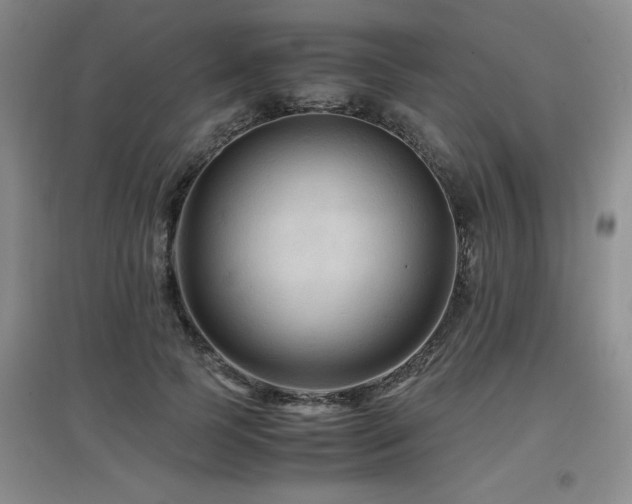 X0000097660745200802291426
