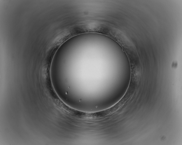 X0000097660746200802291426
