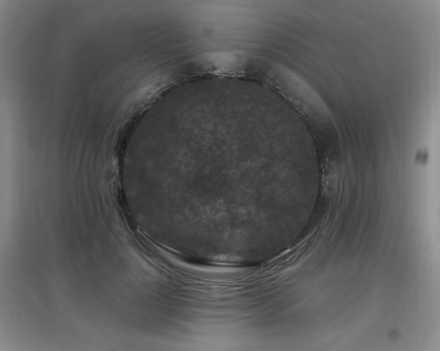 X0000097660748200802291426