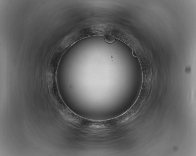 X0000097660749200802291426