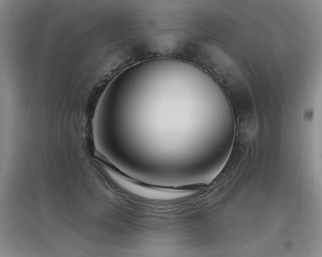 X0000097660750200802291426