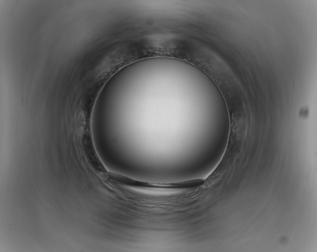 X0000097660752200802291426