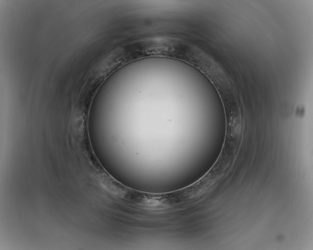 X0000097660753200802291426