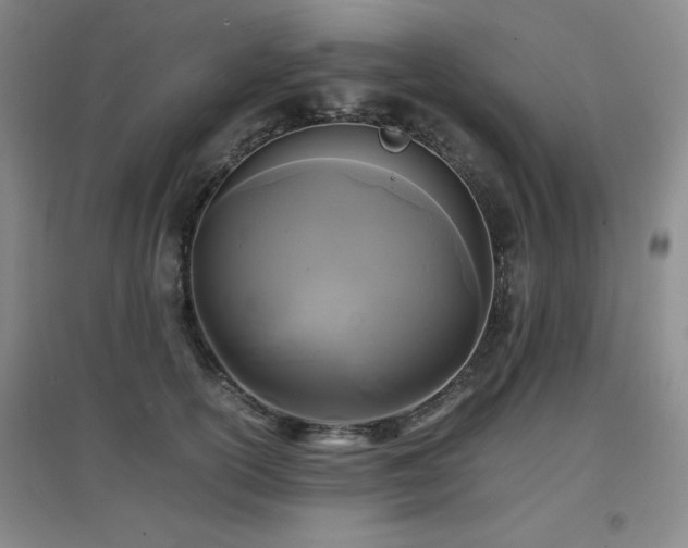 X0000097660754200802291426