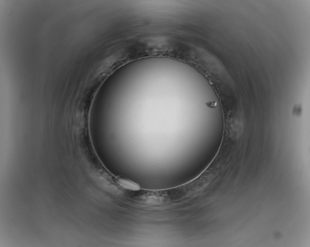 X0000097660756200802291426
