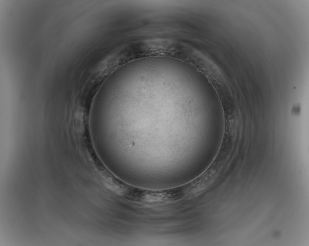 X0000097660757200802291426