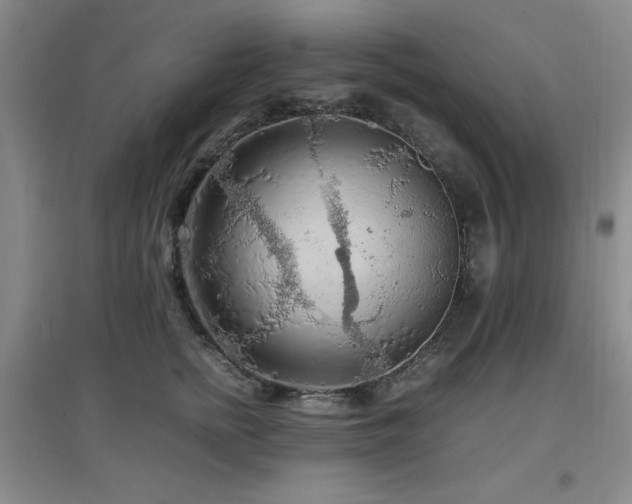 X0000097660758200802291426