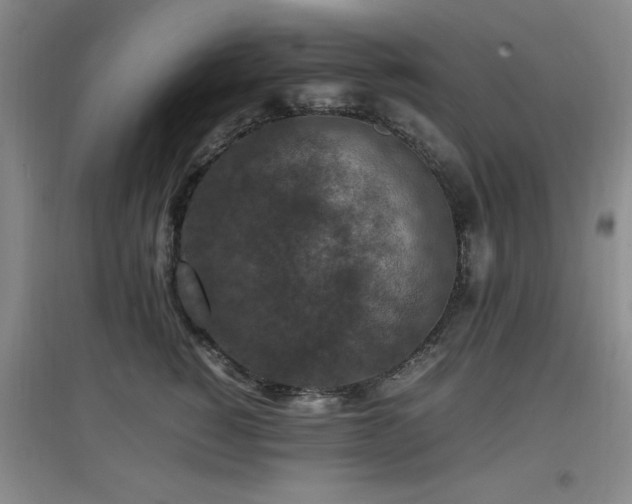 X0000097660760200802291426