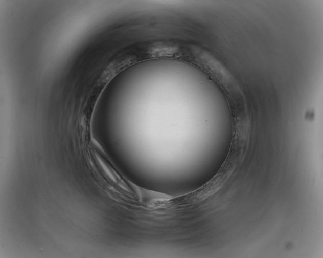 X0000097660761200802291426