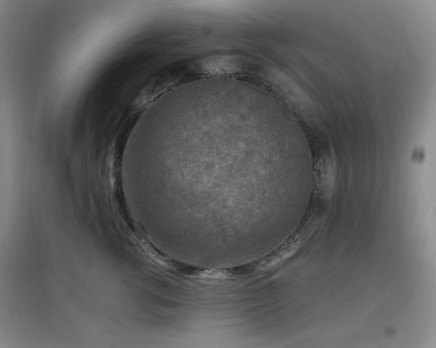 X0000097660762200802291426