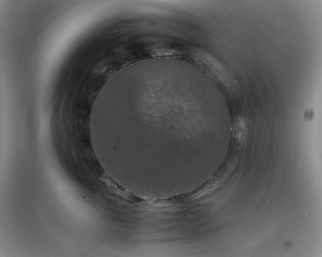 X0000097660763200802291426