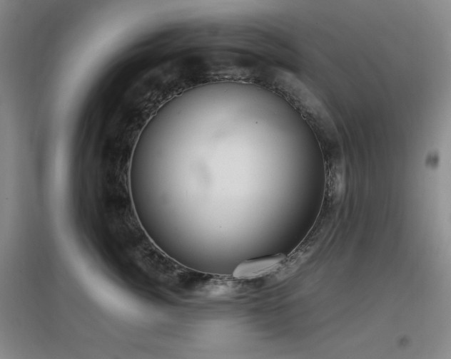 X0000097660764200802291426
