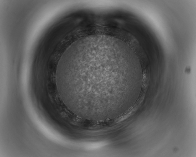 X0000097660765200802291426