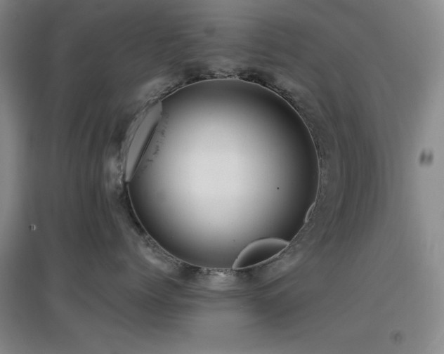 X0000097660768200802291426
