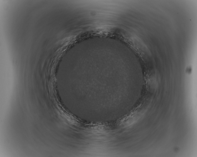 X0000097660769200802291426