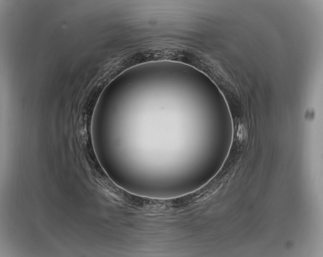 X0000097660771200802291426