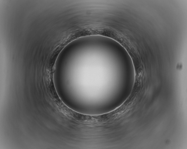 X0000097660772200802291426