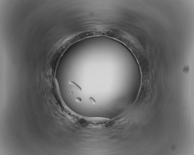 X0000097660773200802291426