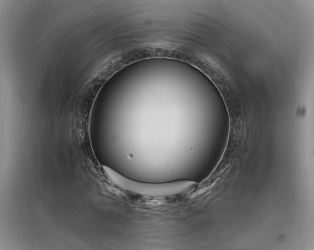 X0000097660774200802291426