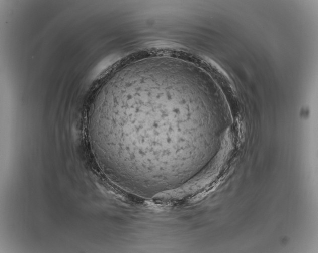 X0000097660775200802291426