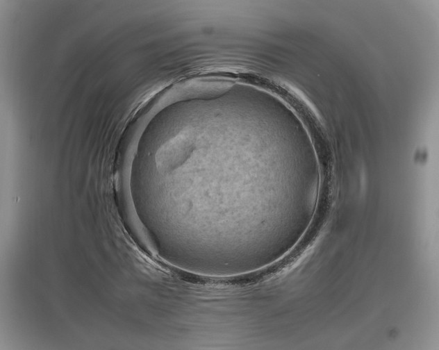 X0000097660777200802291426