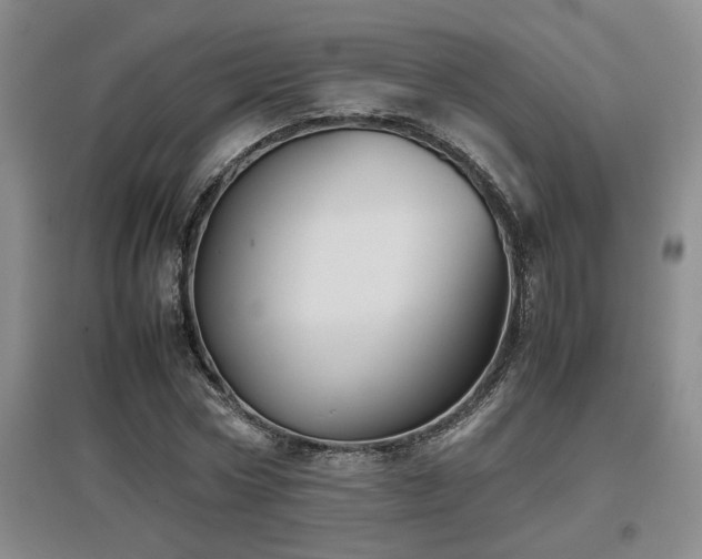 X0000097660778200802291426