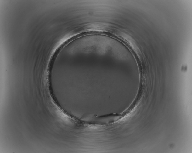 X0000097660779200802291425