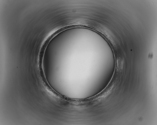 X0000097660780200802291425