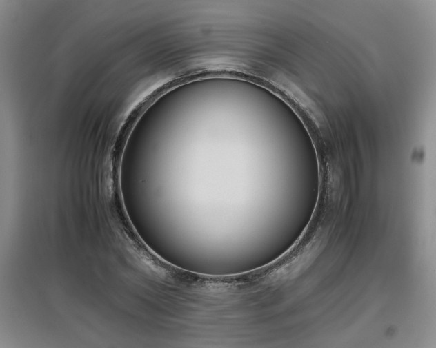 X0000097660782200802291425